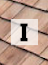 Shakes_Shingles glossary section 'I'