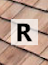 Shakes_Shingles glossary section 'R'