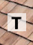 Shakes_Shingles glossary section 'T'